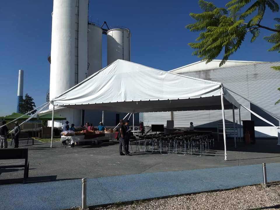 Carpas Elegantes